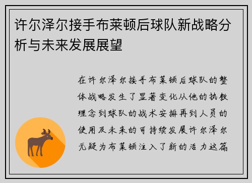 许尔泽尔接手布莱顿后球队新战略分析与未来发展展望